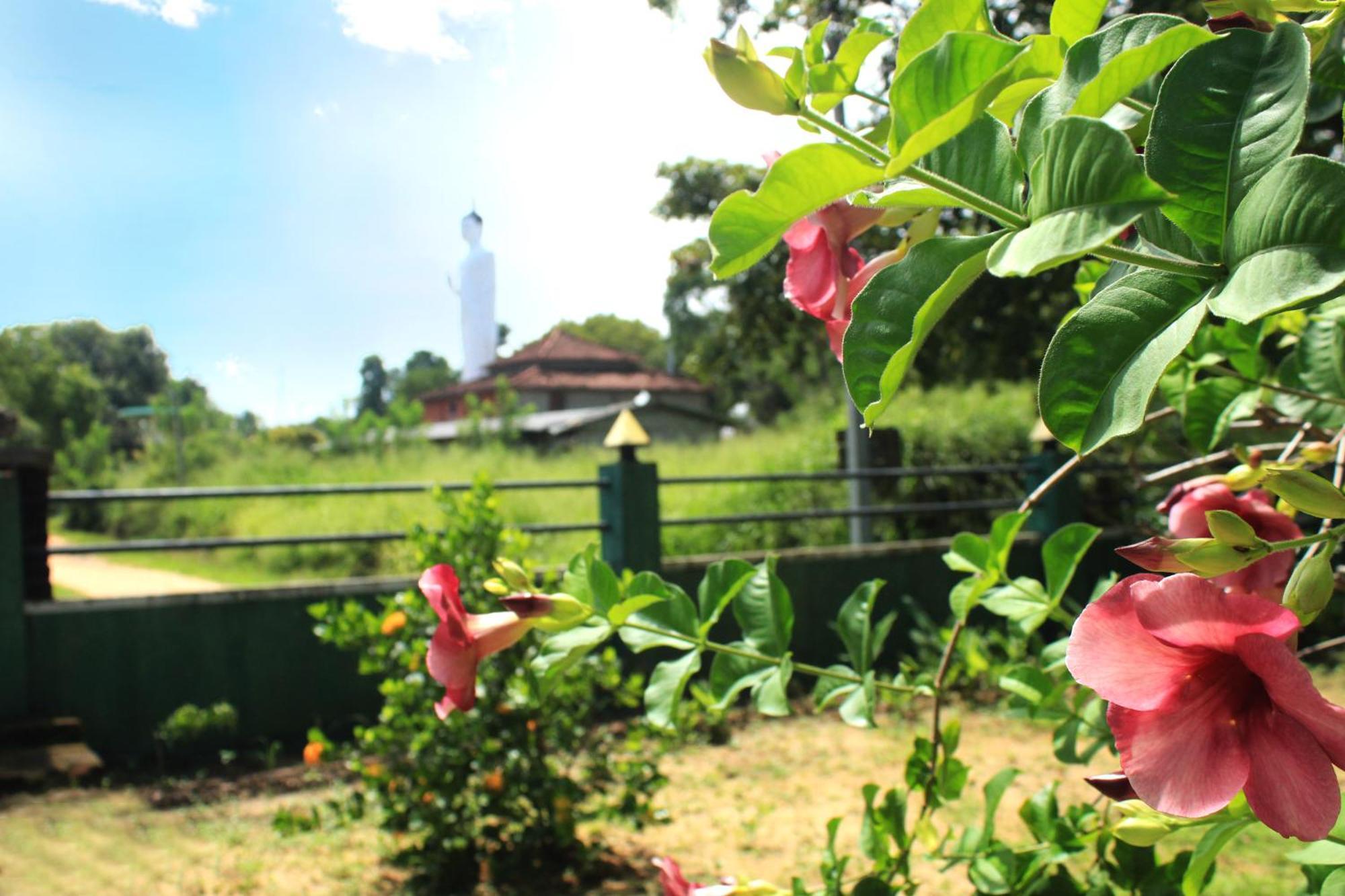 Green Hut Nature Resort Sigiriya Eksteriør bilde