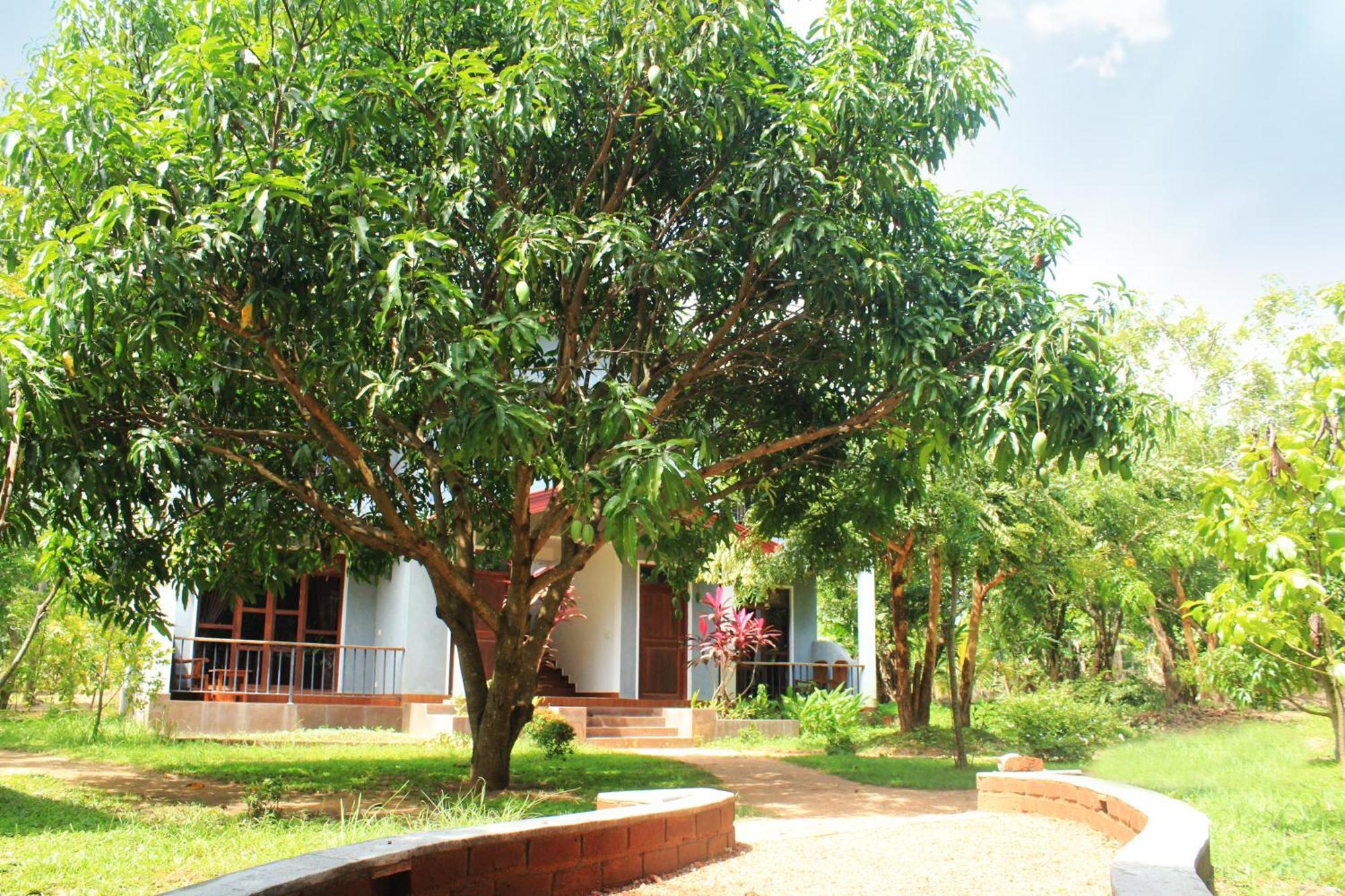 Green Hut Nature Resort Sigiriya Eksteriør bilde