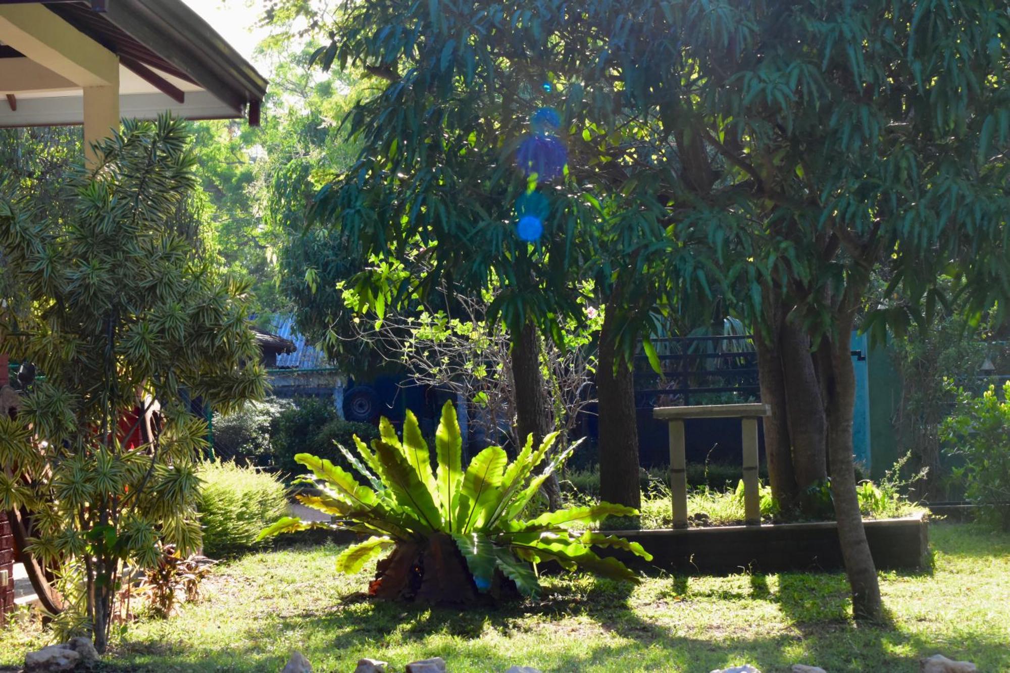 Green Hut Nature Resort Sigiriya Eksteriør bilde